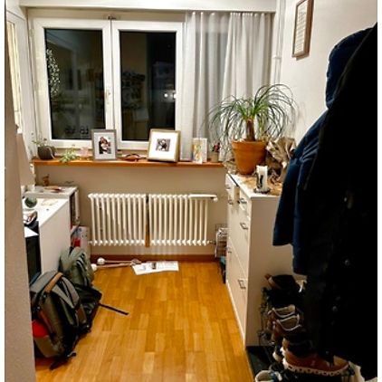 3½ Zimmer-Wohnung in Urdorf (ZH), möbliert, auf Zeit - Photo 1