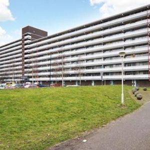 Belvédèrebos, 2715 VP Zoetermeer, Nederland - Photo 2
