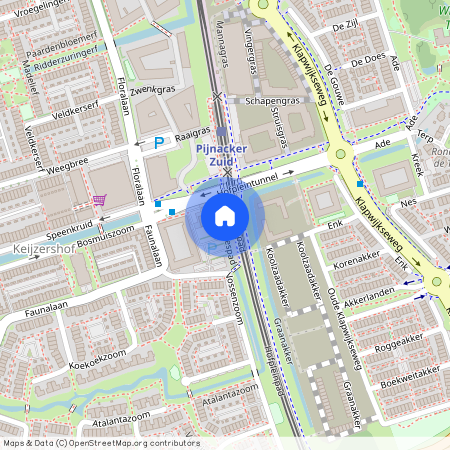 Vossenzoom 173, 2643 KM, Pijnacker