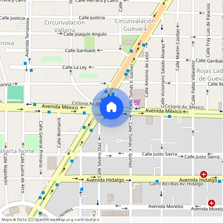 Av. México, Rojas Ladrón de Guevara, Guadalajara, Departamento, Jalisco