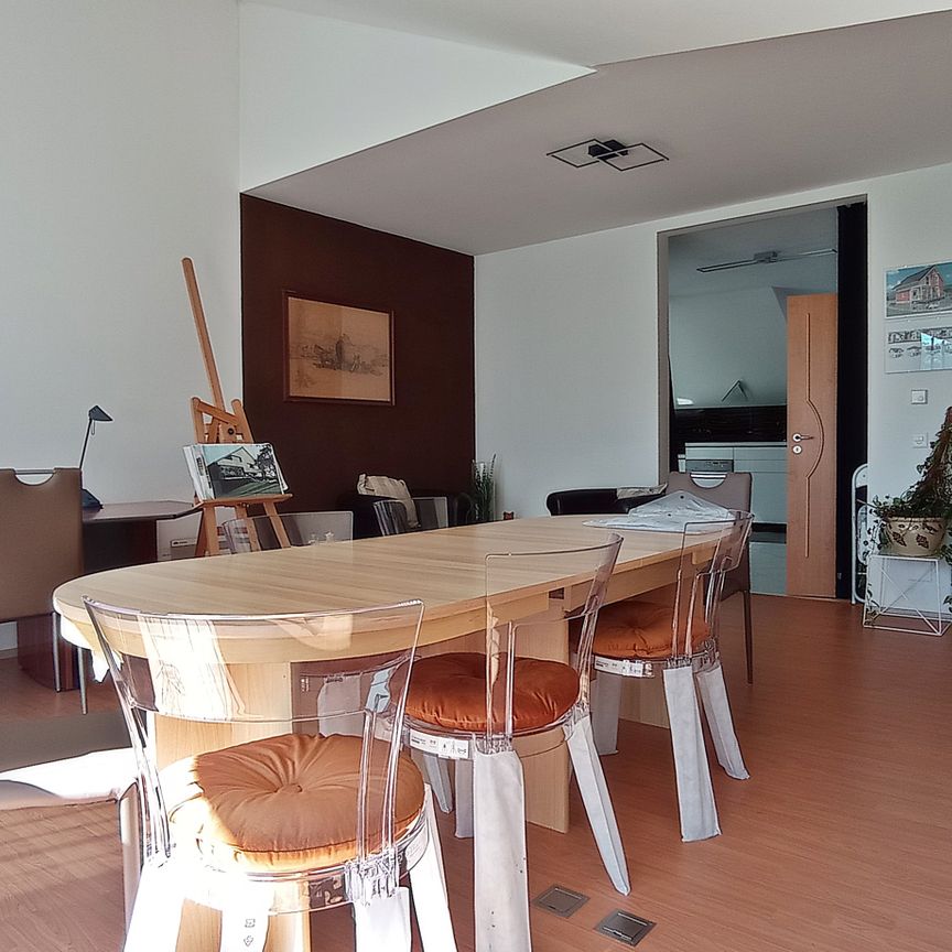 Magnifique villa meublée 8,5p / 6 chambres + Studio / jardin - piscine - Foto 1