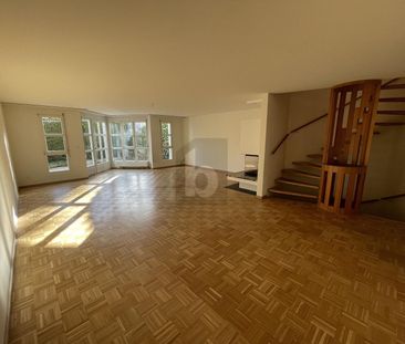 FAMILY ROOM WITH SAUNA, CHEMINÉE AND STUDIO - Foto 5