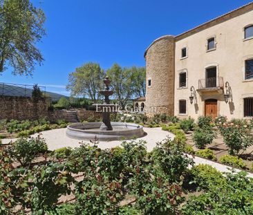 Splendide domaine à louer - bastide climatisée - 9 chambres - salle de cinéma - piscine chauffée - Photo 6