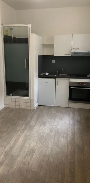 Location Appartement 1 pièce 15m² MULHOUSE 68100 - Photo 1