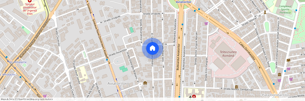 Strada Emanoil Porumbaru, Aviatorilor, Sectorul 1, Bucuresti