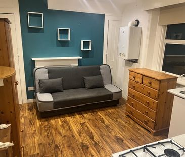 Studio Flat, Leigham Court Road, SW16 - Photo 2