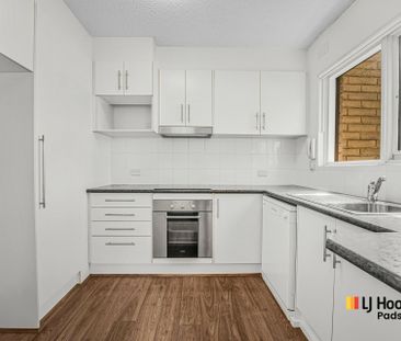 Light-Filled One-Bedroom Unit in Ashfield - Photo 6