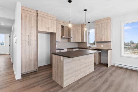 135 Rue Michel-Choinière, #301 - Photo 5