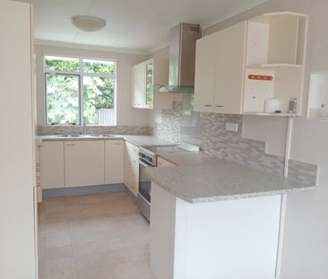 Roomy, Family Home - Waihi - Photo 6