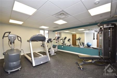 For Lease - 316 Bruyere Street Unit# 505, Lower Town - Sandy Hill, Ontario - Photo 3