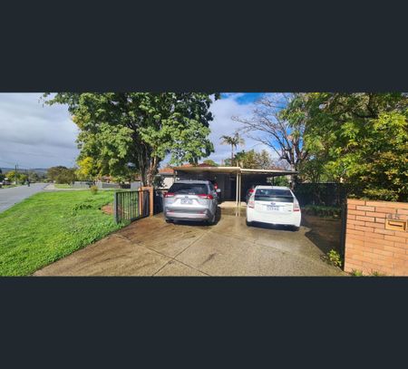45 Blanche Street, Gosnells, WA 6110 - Photo 3