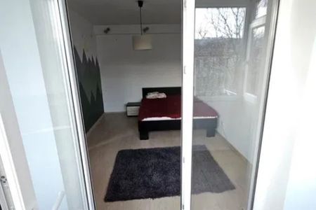 Apartament de inchiriat 2 camere Tudor Vladimirescu - Fotografie 2