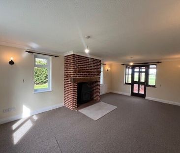 Little Green - Photo 1