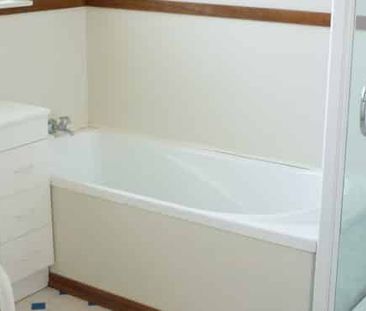 Sunny Elevated Home - Photo 1