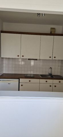 Location Appartement 1 pièce 39m² - Photo 3