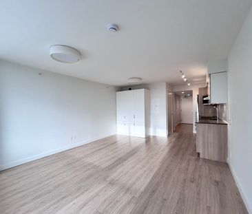 1108 Pendrell Street, Vancouver - Photo 4