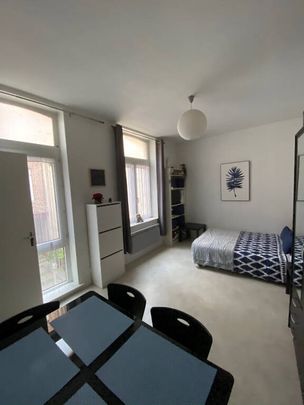 Location appartement 1 pièce 23.42 m² à Lille (59000) - Photo 1