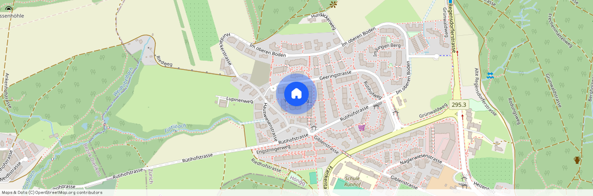 Geeringstr. 81, 8049 Zürich