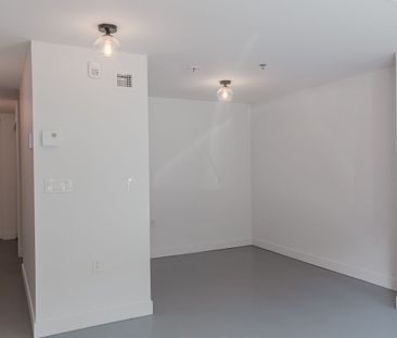 4350 Hotel-de-ville, Montréal, QC - Photo 4