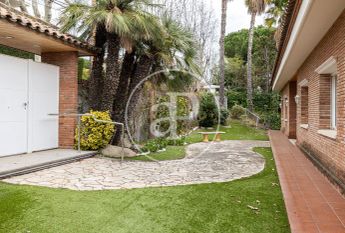 House for Rent in Tiana