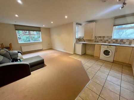 SPACIOUS ONE BEDROOM, TOWN CENTRE (P05092) - Photo 2