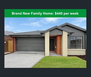 52 Ficus Circuit, Wallan, Vic 3756 - Photo 3