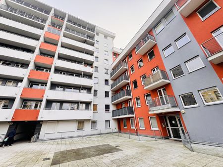 mieszkanie na wynajem Szczecin Śródmieście-Centrum - Photo 4