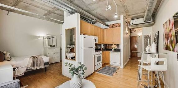 1 Bedroom, 1 Bathroom - Stewart Lofts - Photo 2