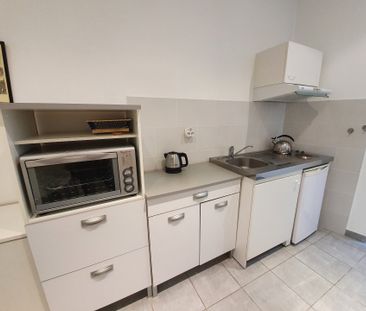 Location Appartement 1 pièce 19m² ST SYMPHORIEN D OZON 69360 - Photo 4