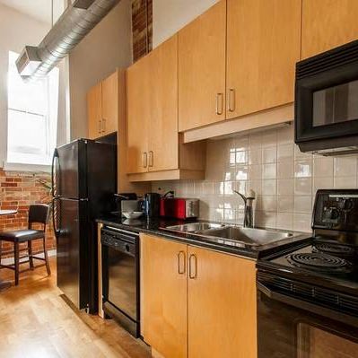 Impressive 1 Bed 1 Bath plus Beautiful Decor and Exposed Brick in St. - Photo 4