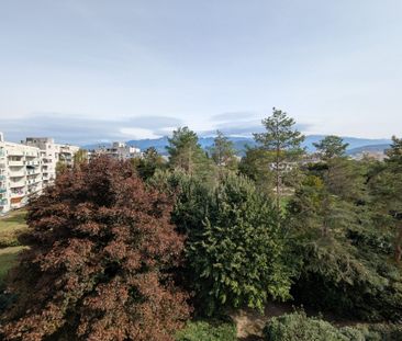 Appartement Grenoble - Photo 3