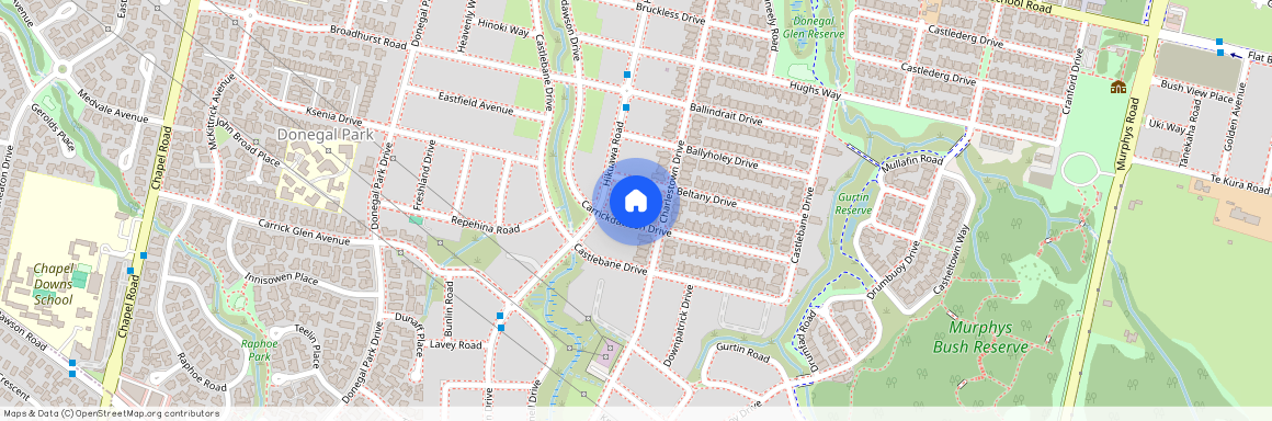 29 Carrickdawson Drive, Flat Bush, Manukau City