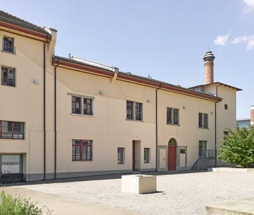 MIETEN OHNE KAUTION - Geräumige Loftwohnung im Haldengut-Areal - Photo 3