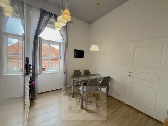 Pronájem bytu 1+1 40 m2 - Photo 1