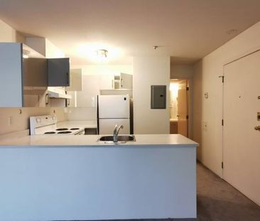 1 bedroom + 1 bathroom (2nd-Floor @8650 Hudson Street) - Photo 3