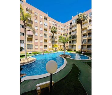 1 BEDROOM GROUND FLOOR APARTMENT - TORREVIEJA - Photo 3