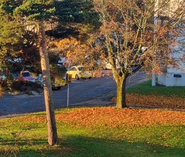 Ormbergsvägen, Sigtuna - Photo 5