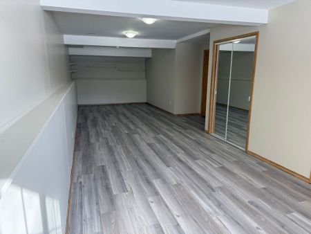 86 Excell Street, TERRIFIC BASEMENT SUITE IN EASTVIEW - Photo 5