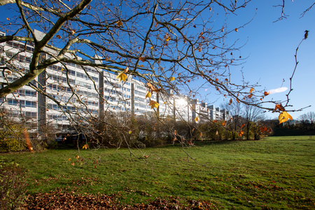 Thomsons Väg 54, Kryddgården - Foto 3