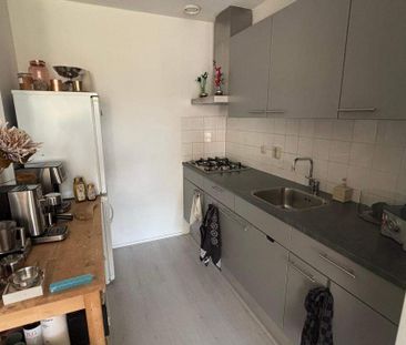 Standerdmolen 59, Edam - Appartement (sans ascenseur) - Photo 2