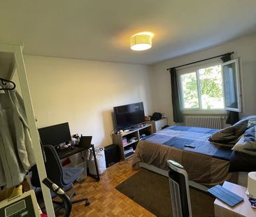 3 Zimmer, 55 m², 3. Stock - Photo 2