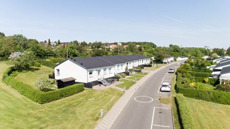 Provstejorden, Præstemarken, Klokkervangen og Degnelodden - Photo 2