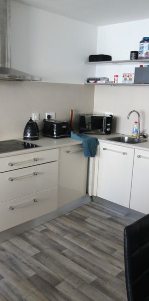 £925 PCM, Water Bills Included, Spacious Modern One Bedroom 2nd Floor Apartment with Allocated Parking in Capella House, Celestia, Falcon Drive, Cardiff Bay, CF10 4RE - Photo 2