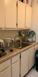 1 BED-RM STUDIO RENTAL /Kitsilano/Greektown/CAT FRIENDLY - Photo 4