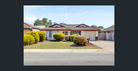 Room For The Whole Family! - Photo 2