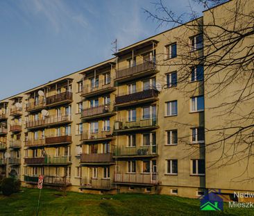 Jawiszowice - Zdjęcie 6