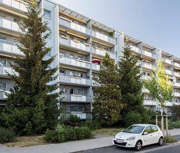 Senftenberger Str. 16, 01239 Dresden OT Prohlis-Süd - Photo 1