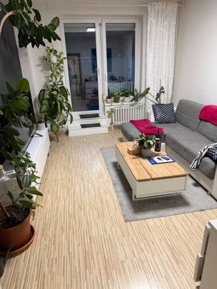 Pronájem bytu 3+kk • 109 m² bez realitkyJeremenkova, Praha - Podolí - Photo 1