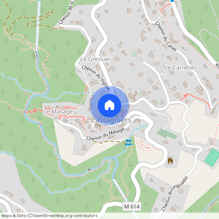 PROVENCE-ALPES-COTE-D-AZUR, ALPES-MARITIMES (06), 06670, Castagniers