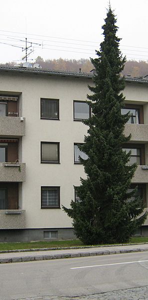 Wohnanlage der LAWOG Nr.78/1 4342 Baumgartenberg - Photo 1